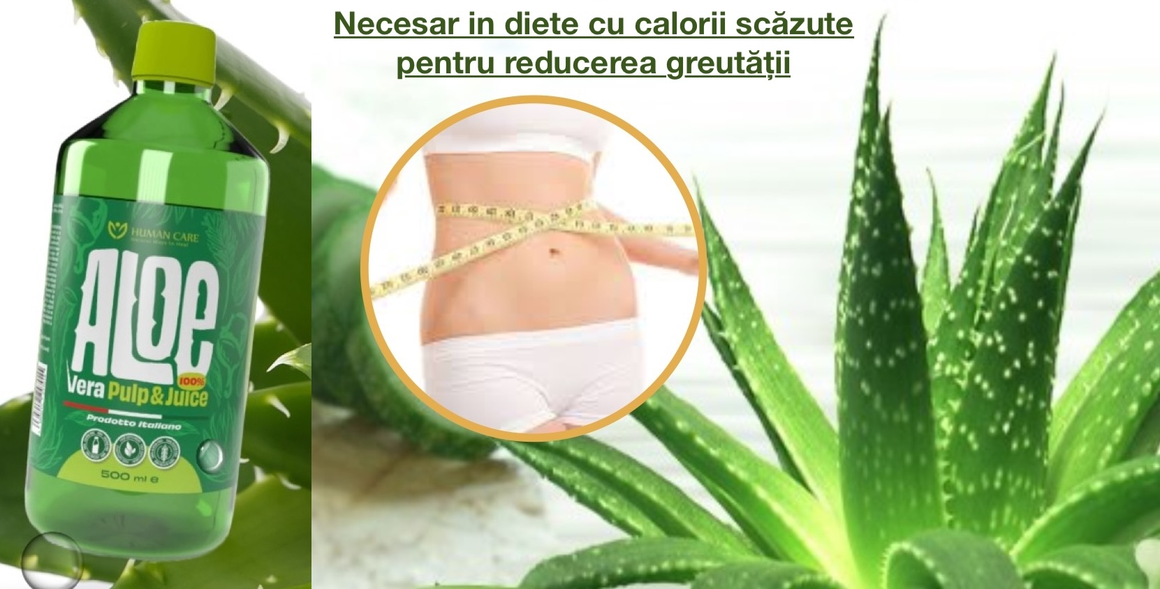 Aloe Vera 100% suc natural cu pulpa 500ml, pentru slabire si detoxifiere - imagine 2